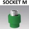 Popular Socket M