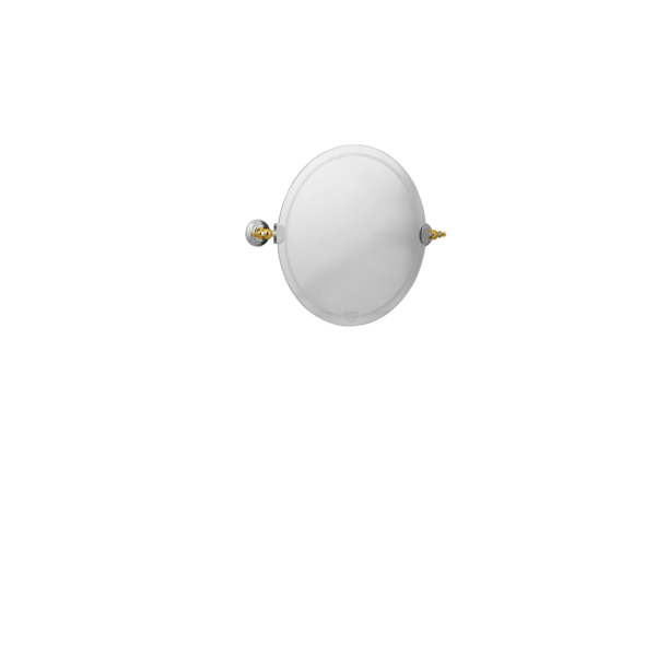 Soap Dish-Elegant Metal